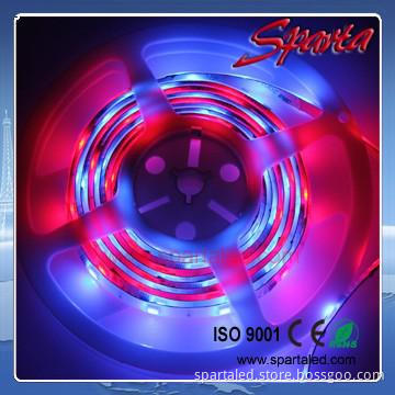 Dream color low cost rgb led strip